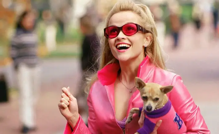 16 Times Girls In College Are Just Like Elle Woods