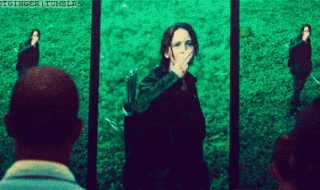 Katniss-District-11-the-hunger-games-30748724-500-213
